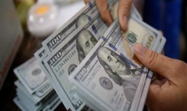 ضبط شركة شحن ومركز دخان يتعاملان بغير الليرة في ريف دمشق