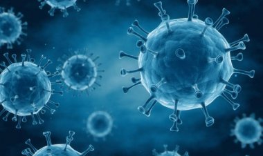 تعرف على فيروس كورونا وأعراضه وسبل الوقاية منه