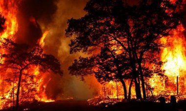 حرائق استرالياً تكشف أقدم نظام مائي